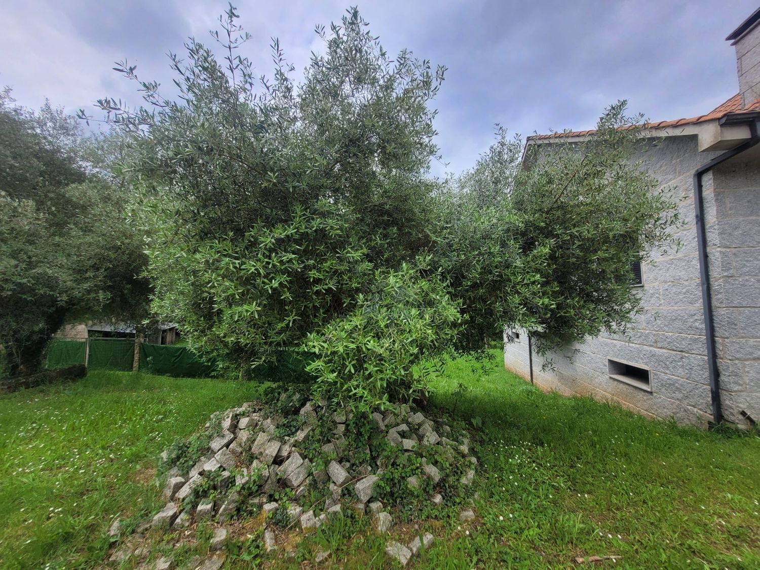Casas o chalets-Venta-Vila de Cruces-2419958-Foto-24