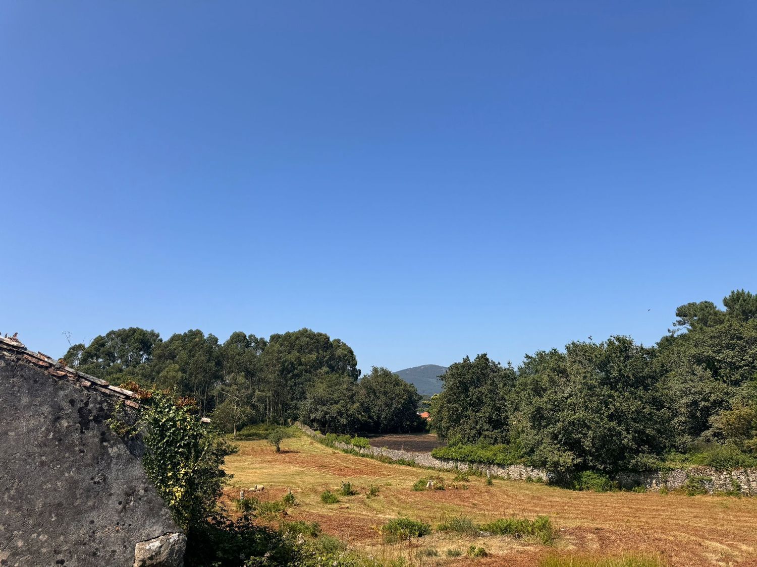 Pisos-Venta-VilagarcÃ­a de Arousa-2420000-Foto-8