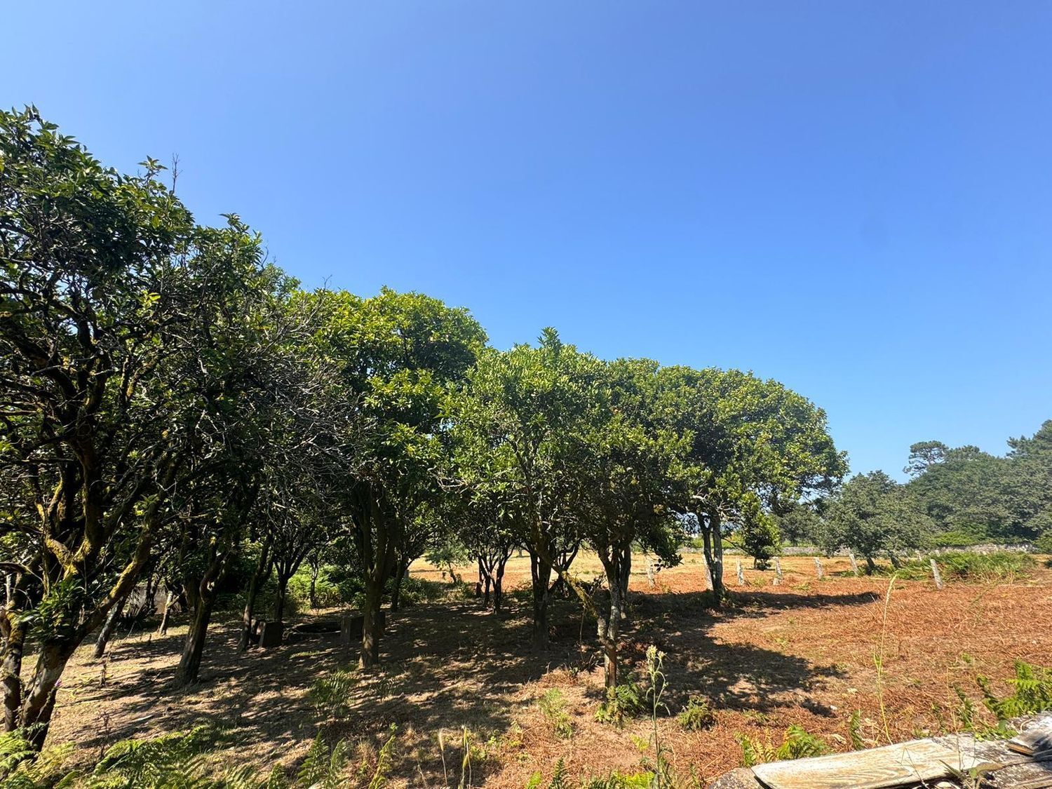 Pisos-Venta-VilagarcÃ­a de Arousa-2420000-Foto-23