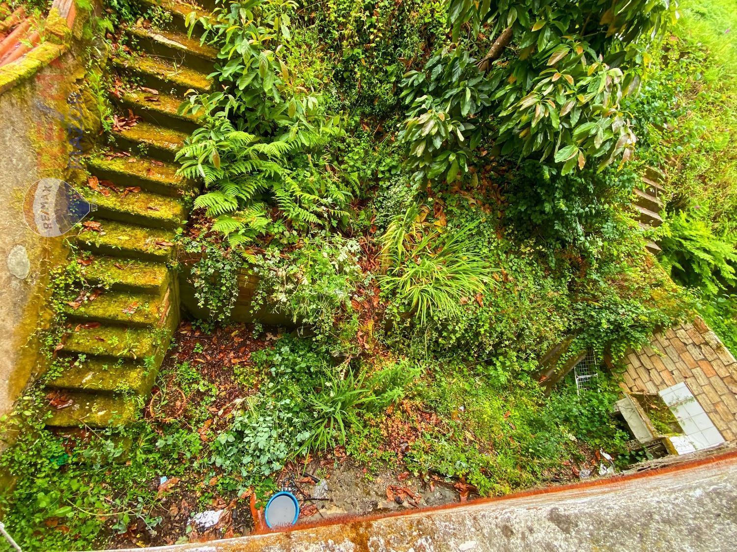 Edificios-Venta-Santiago de Compostela-2420003-Foto-12