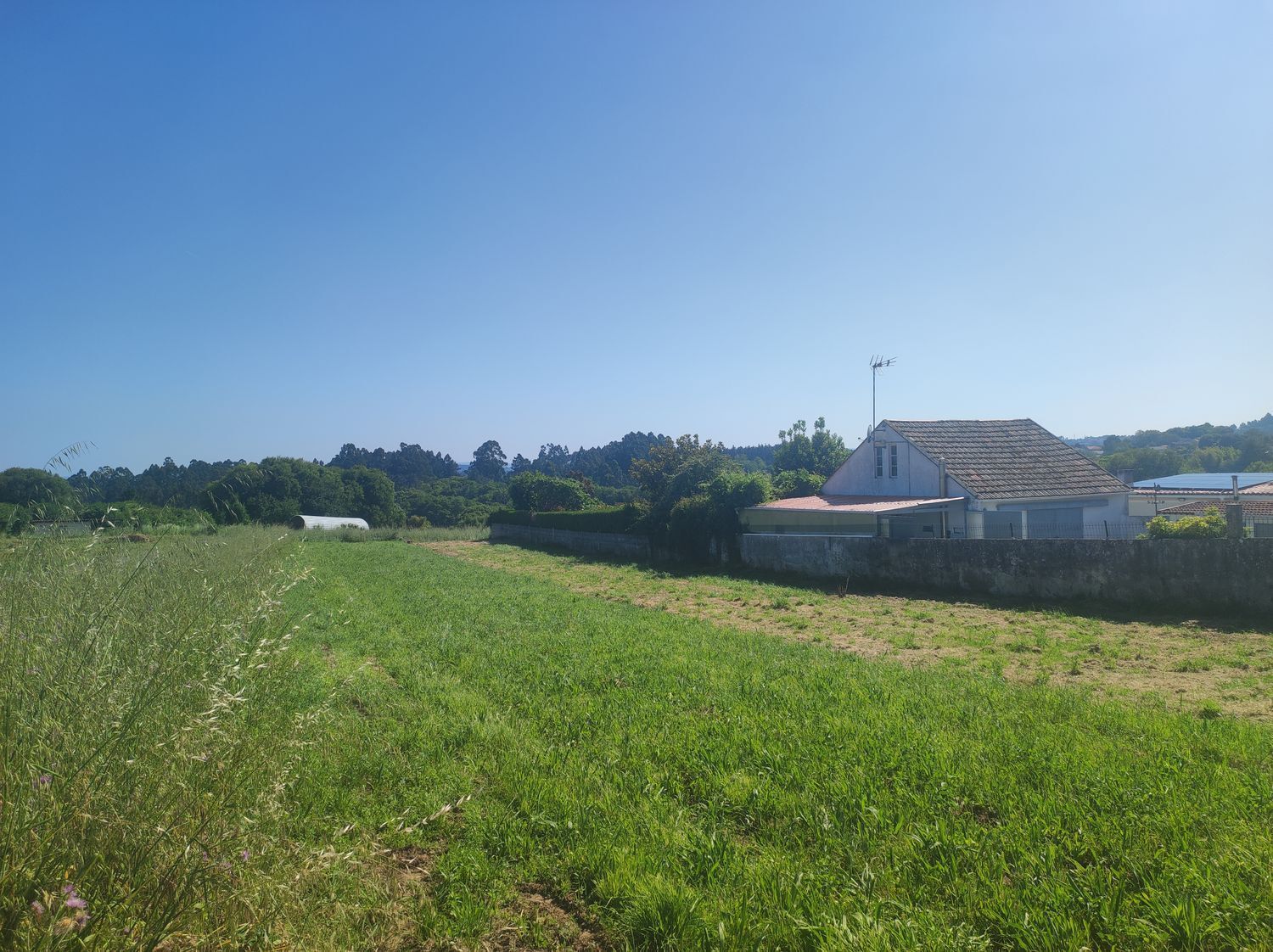 Fincas y solares-Venta-Sada-2420006-Foto-6