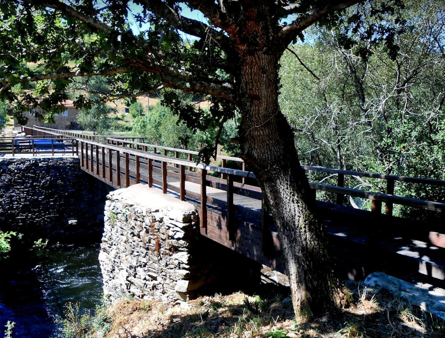 Pisos-Venta-Vila de Cruces-2420039-Foto-17