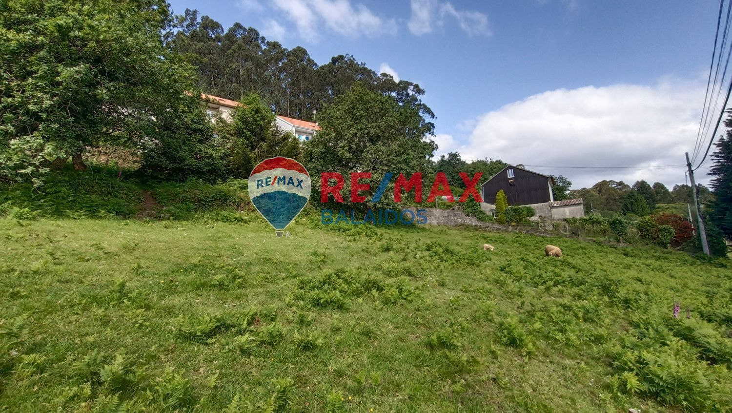 Fincas y solares-Venta-Bueu-876527-Foto-4