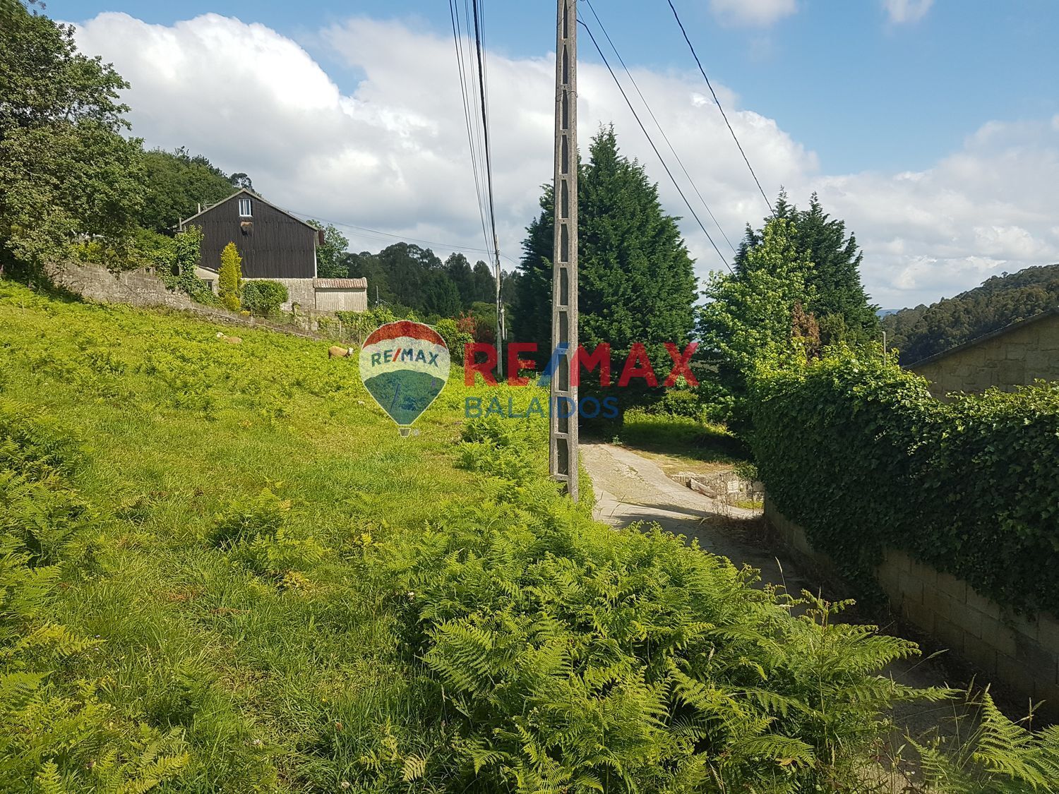 Fincas y solares-Venta-Bueu-876527-Foto-13
