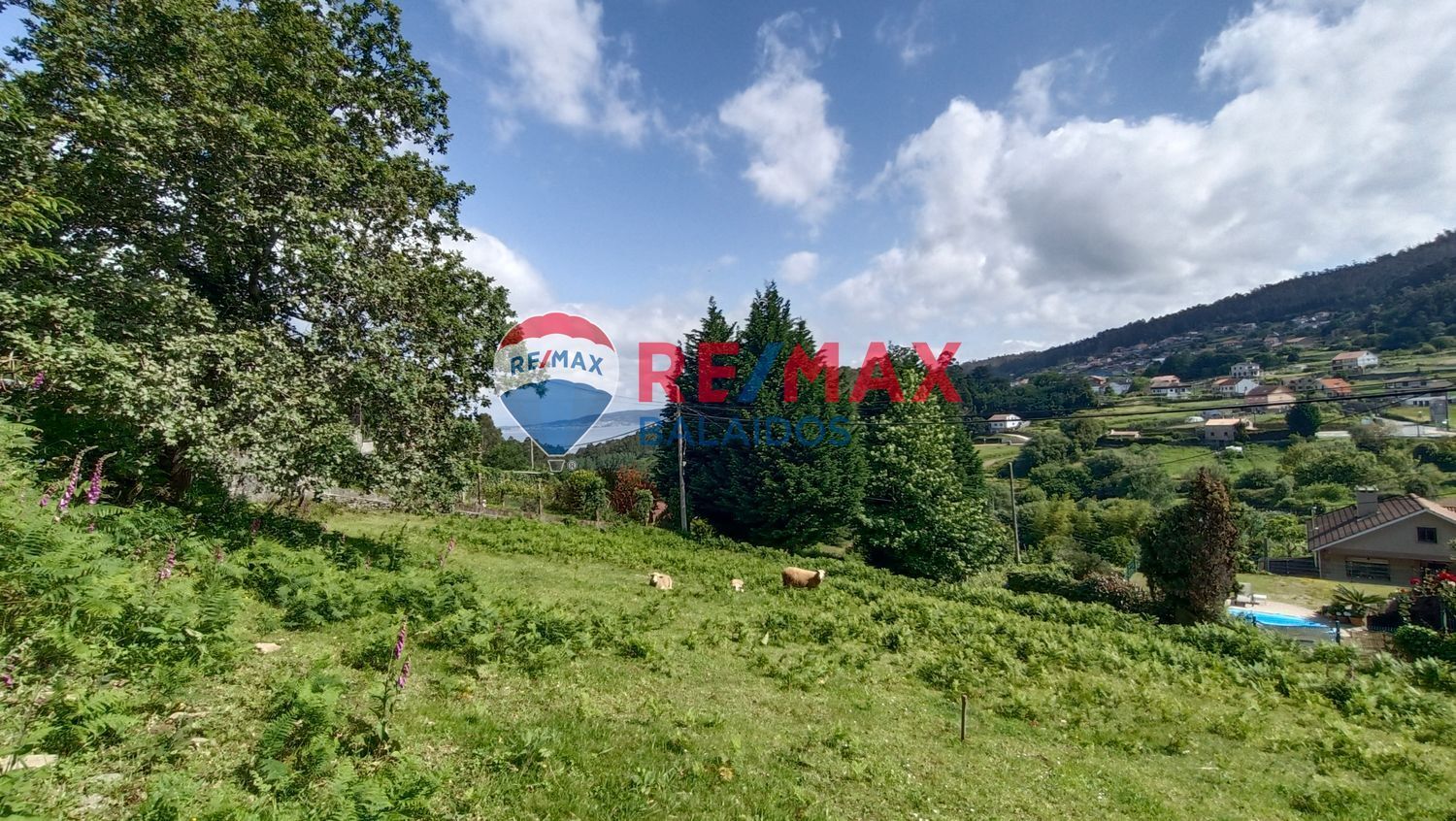 Fincas y solares-Venta-Bueu-876527-Foto-19