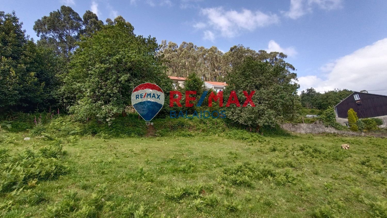 Fincas y solares-Venta-Bueu-876527-Foto-20