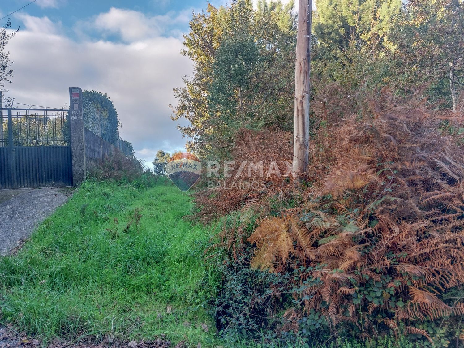 Fincas y solares-Venta-Vigo-2092376-Foto-3