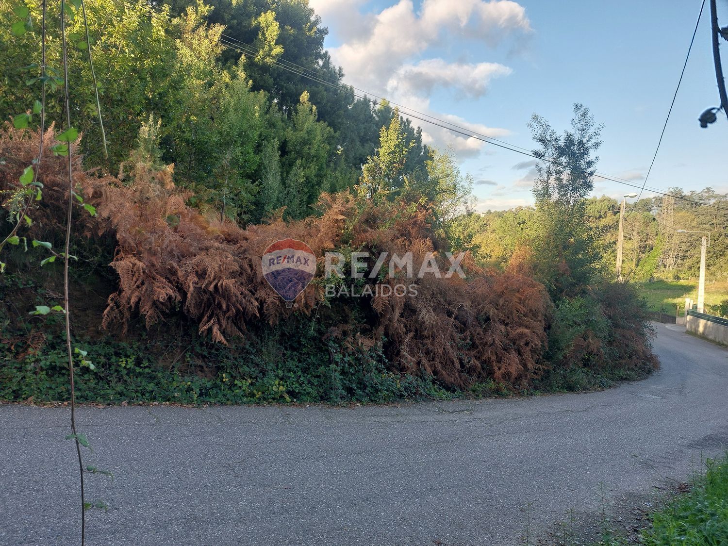 Fincas y solares-Venta-Vigo-2092376-Foto-5