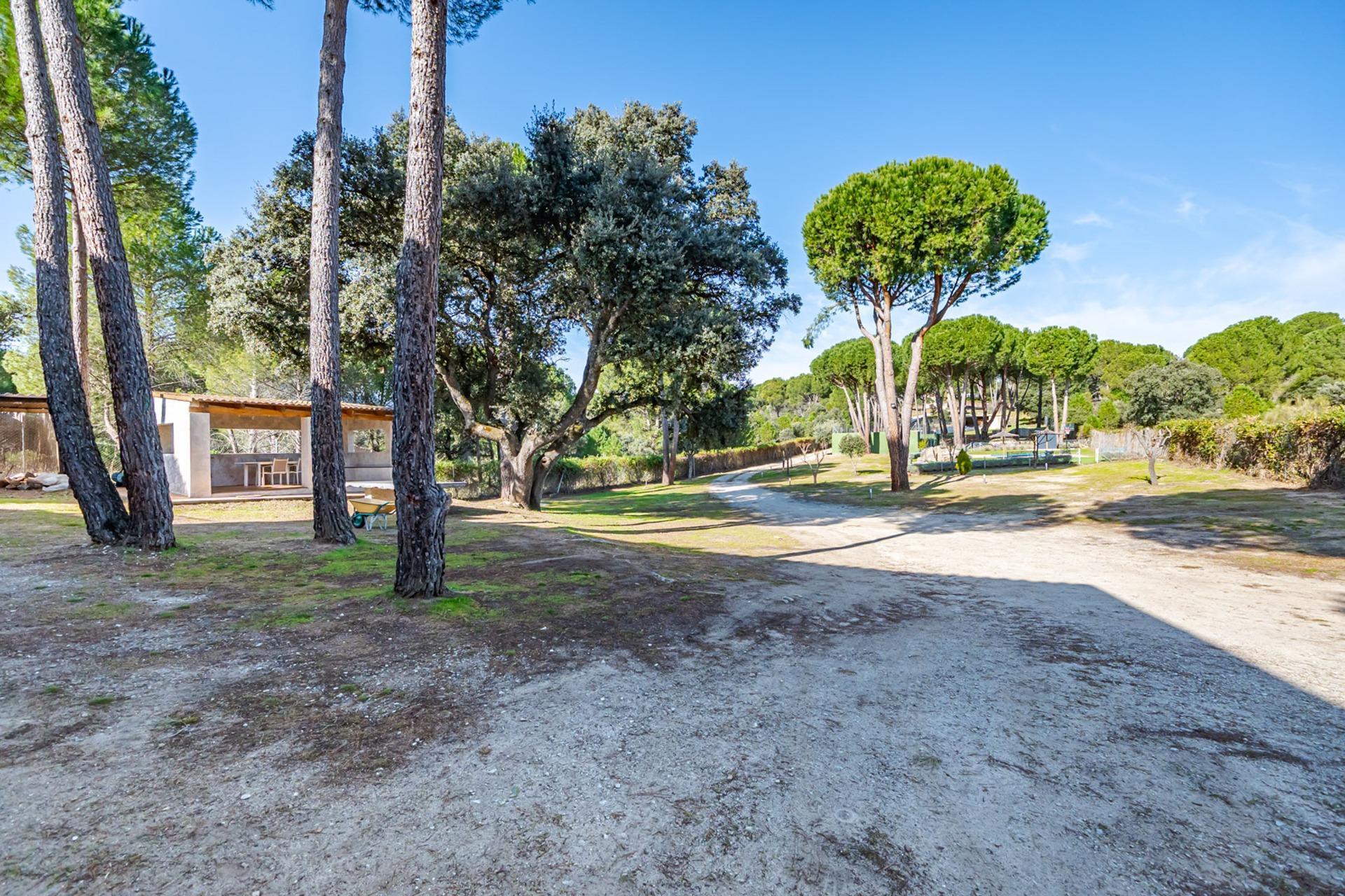 Pisos-Venta-San MartÃ­n de Valdeiglesias-2115868-Foto-69