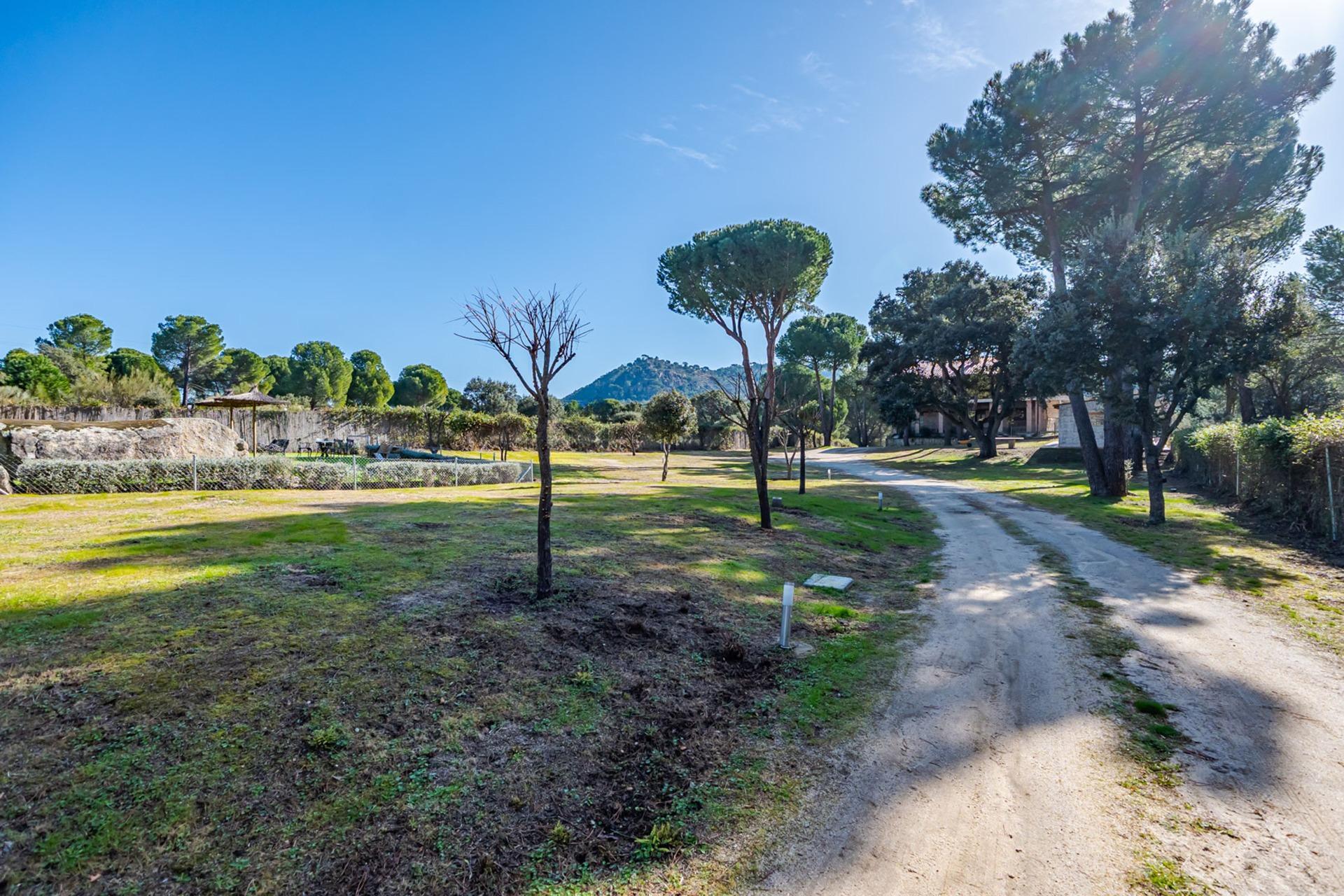 Pisos-Venta-San MartÃ­n de Valdeiglesias-2115868-Foto-82