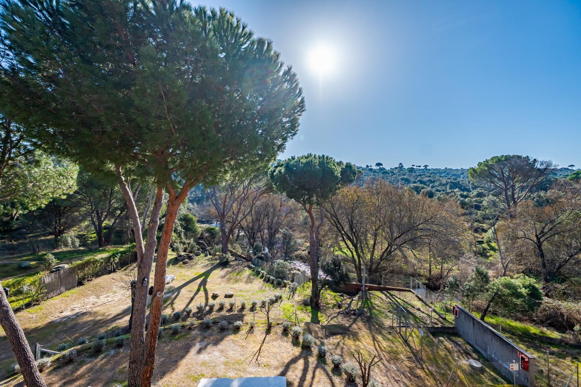 Pisos-Venta-San MartÃ­n de Valdeiglesias-2115868-Foto-86
