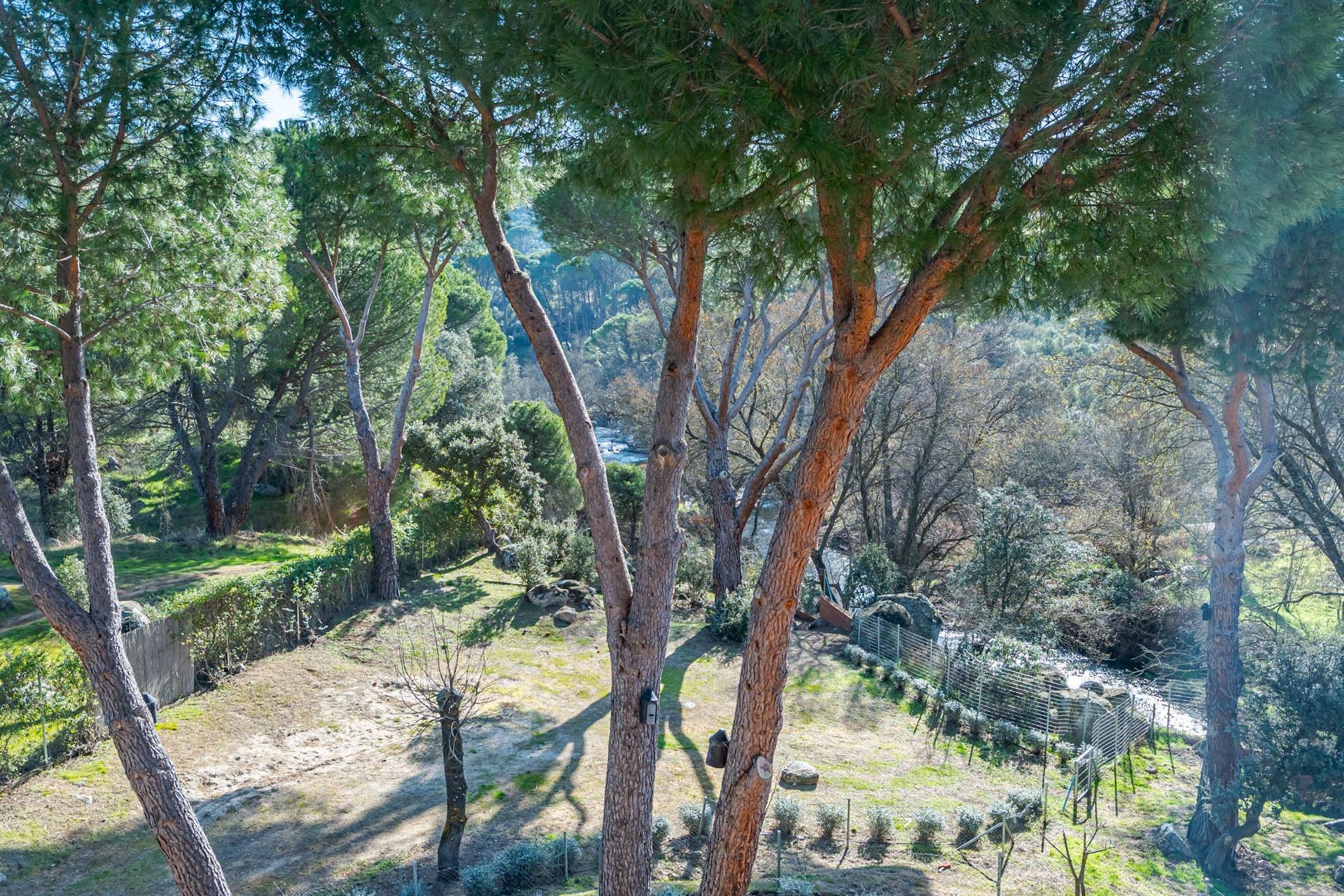 Pisos-Venta-San MartÃ­n de Valdeiglesias-2115868-Foto-87