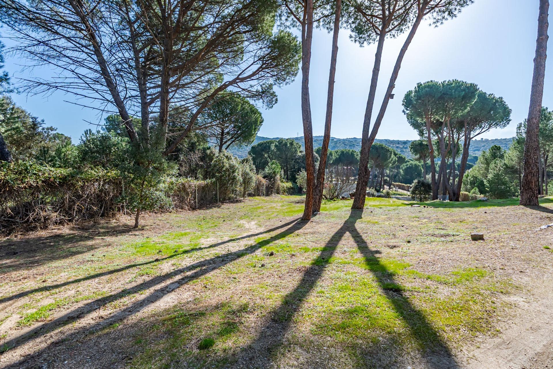 Pisos-Venta-San MartÃ­n de Valdeiglesias-2115868-Foto-88