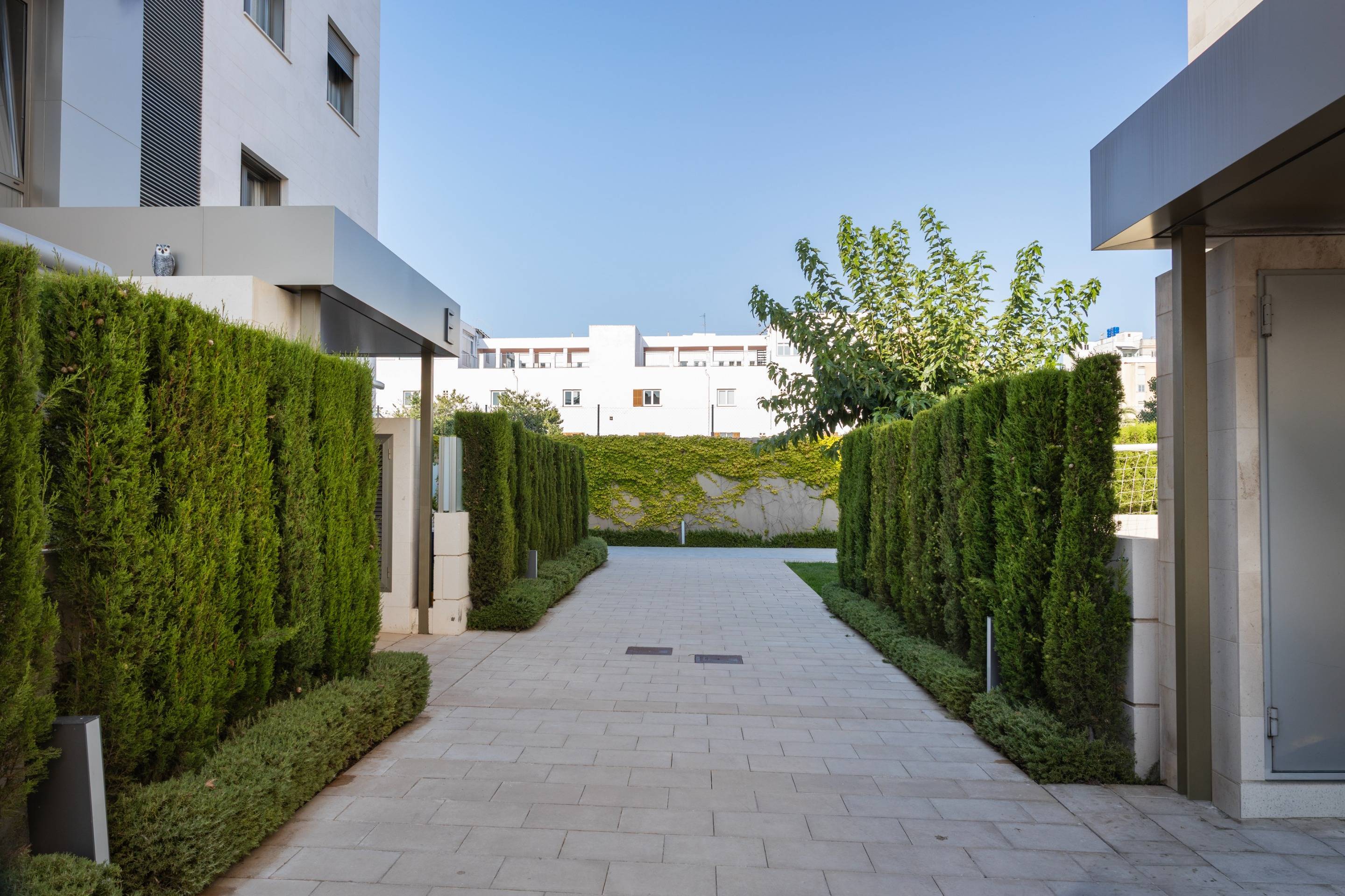 Pisos-Venta-Palma de Mallorca-2411409-Foto-12