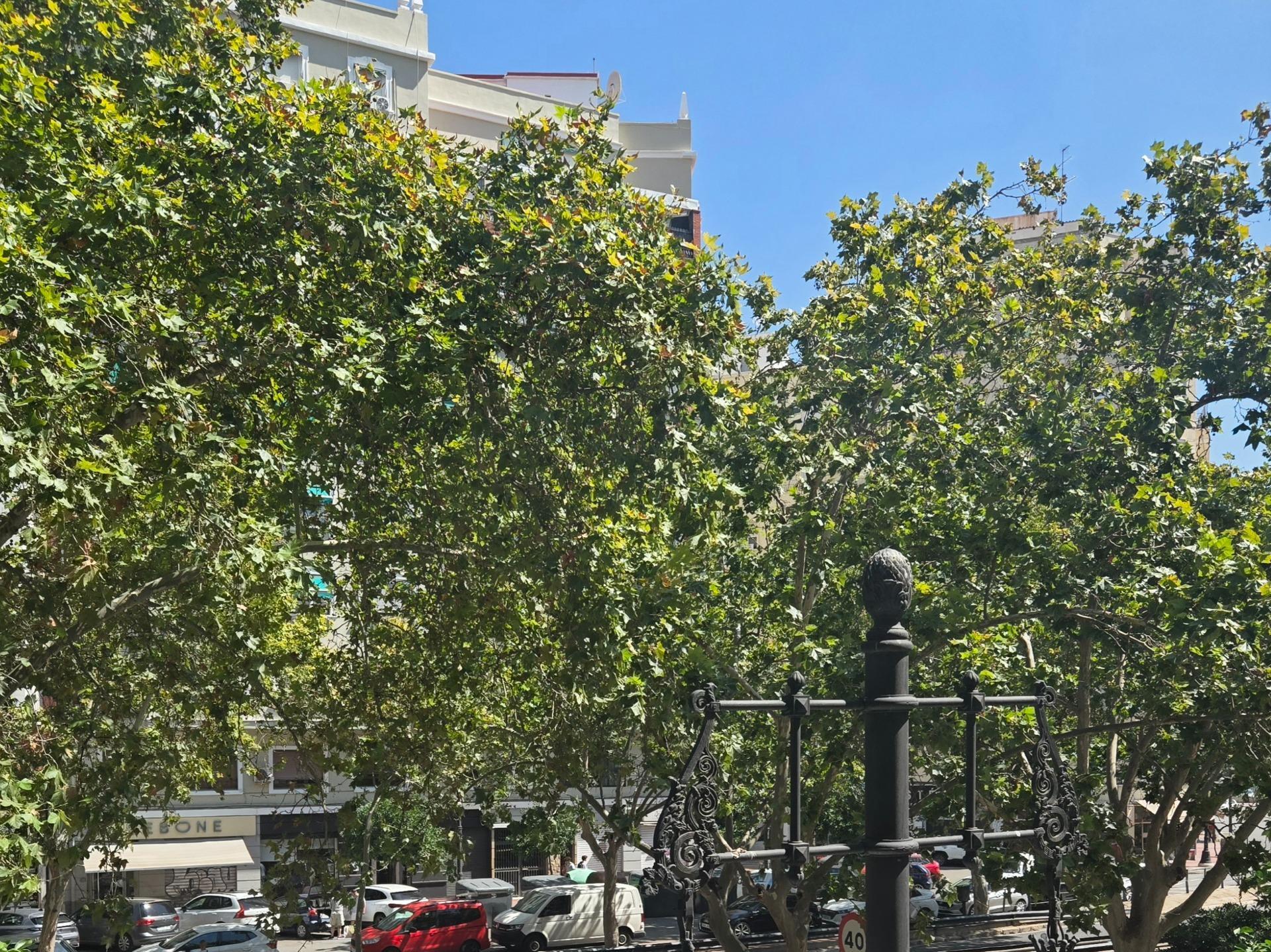 Pisos-Venta-Valencia-2420105-Foto-49