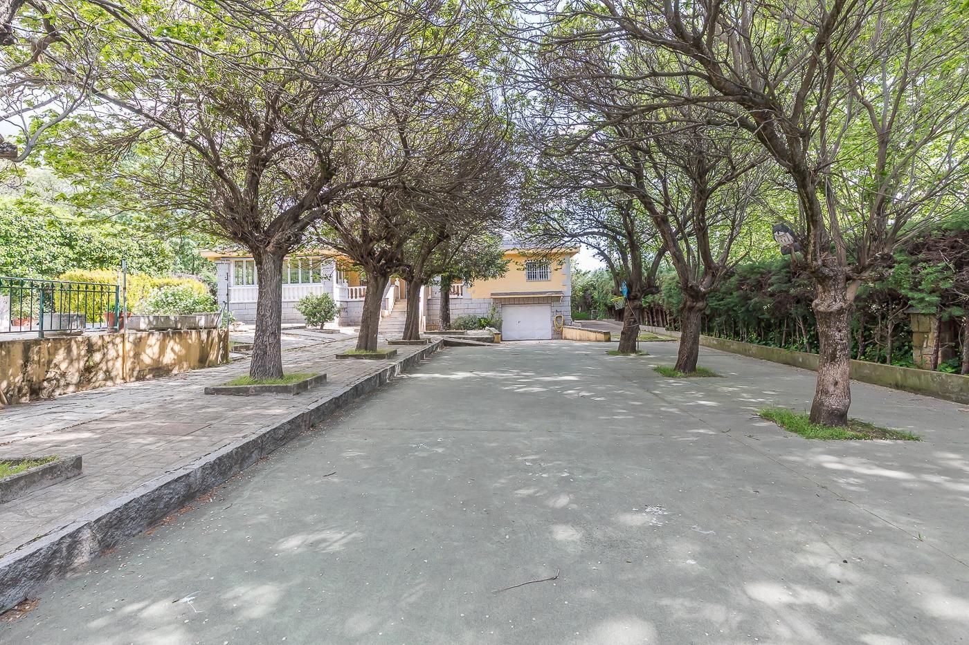 Casas o chalets-Venta-San Lorenzo de El Escorial-2249614-Foto-65