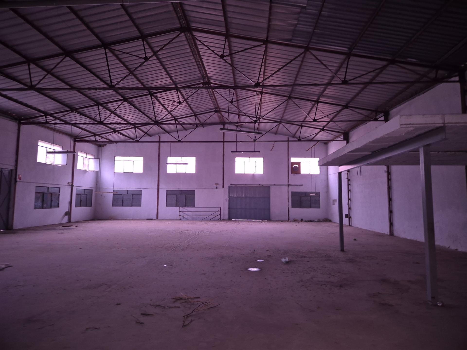 Naves-Alquiler-Elche-2420414-Foto-4