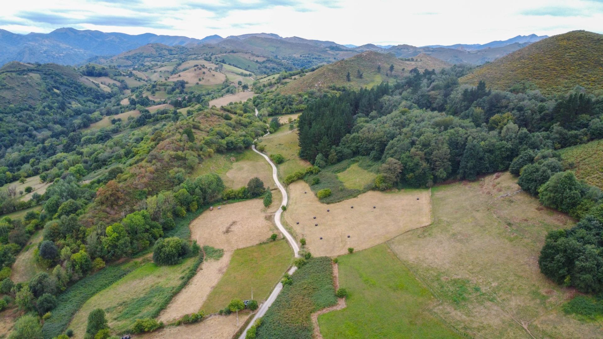 Pisos-Venta-El Grado-2238223-Foto-32
