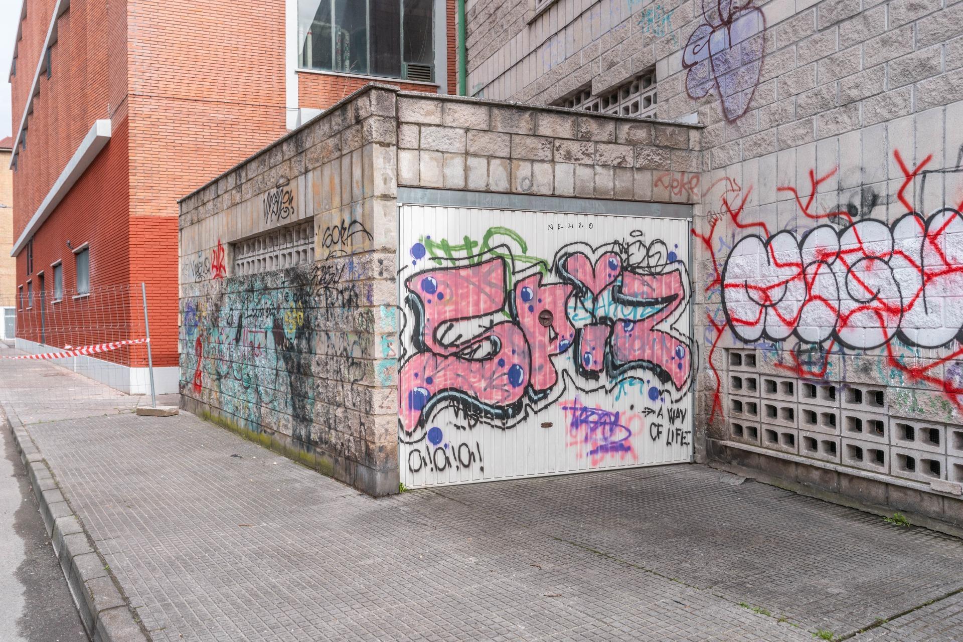 Garajes-Venta-Mieres-1068582-Foto-11