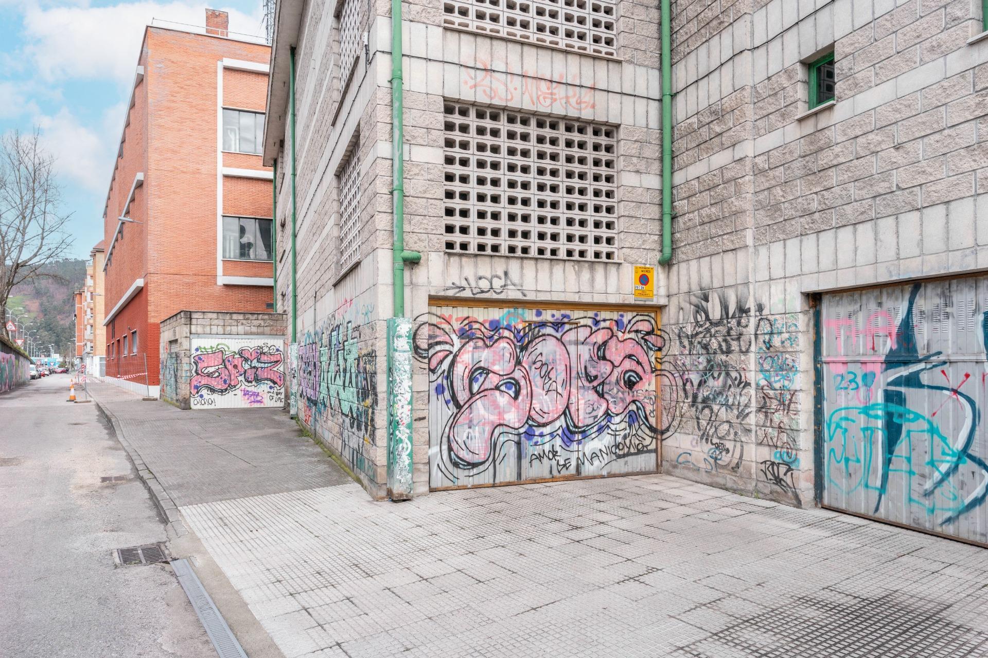 Garajes-Venta-Mieres-1068582-Foto-12