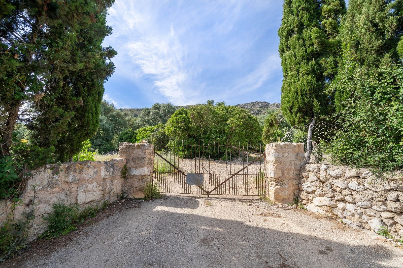 Fincas y solares-Venta-AlcÃºdia-952725-Foto-3