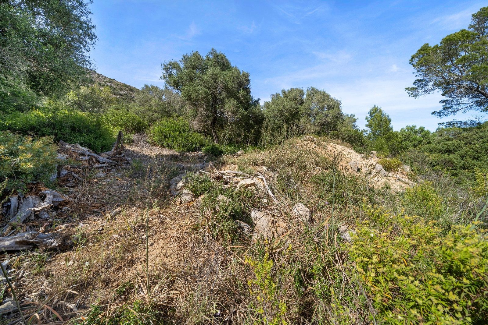 Fincas y solares-Venta-AlcÃºdia-952725-Foto-8