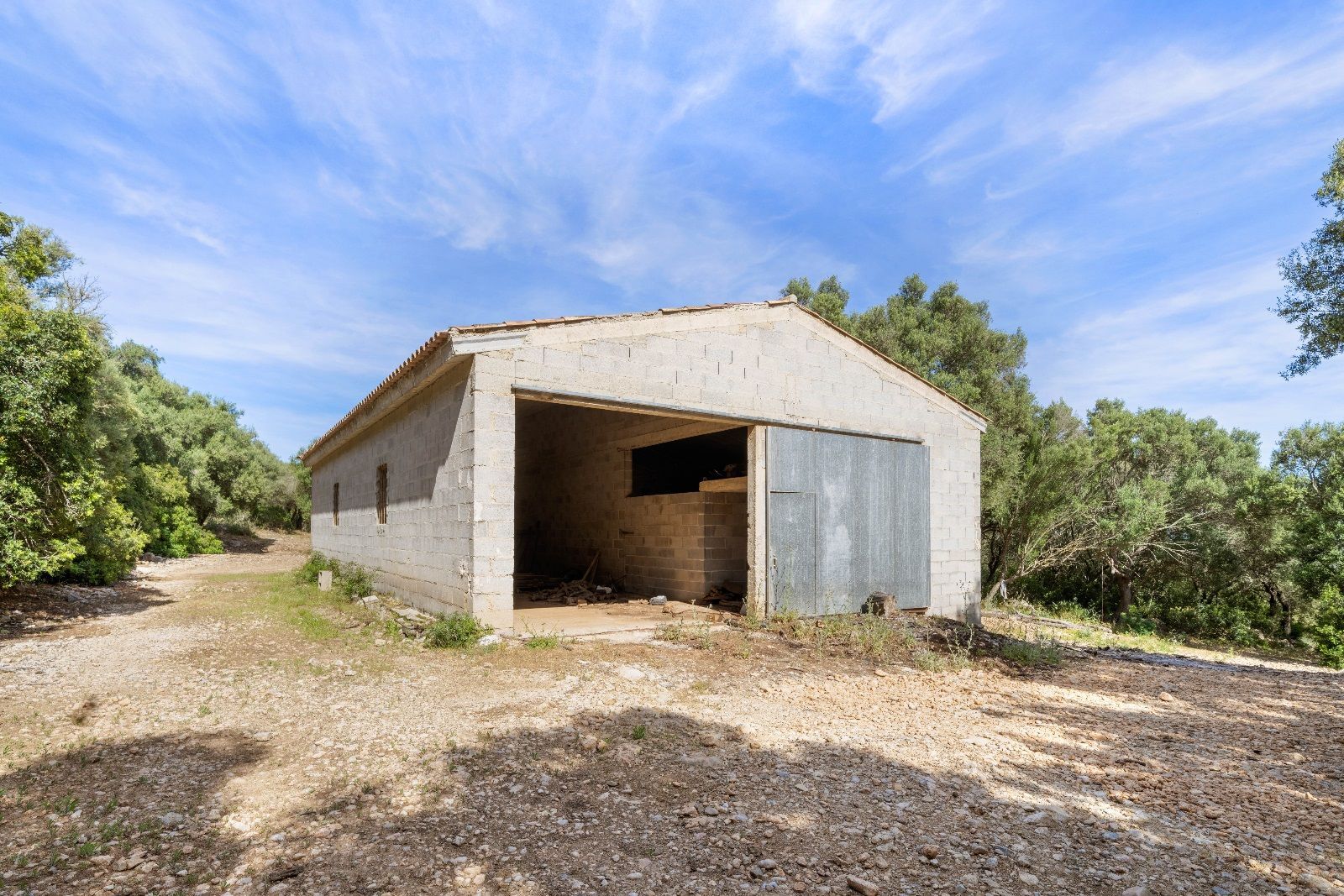 Fincas y solares-Venta-AlcÃºdia-952725-Foto-12