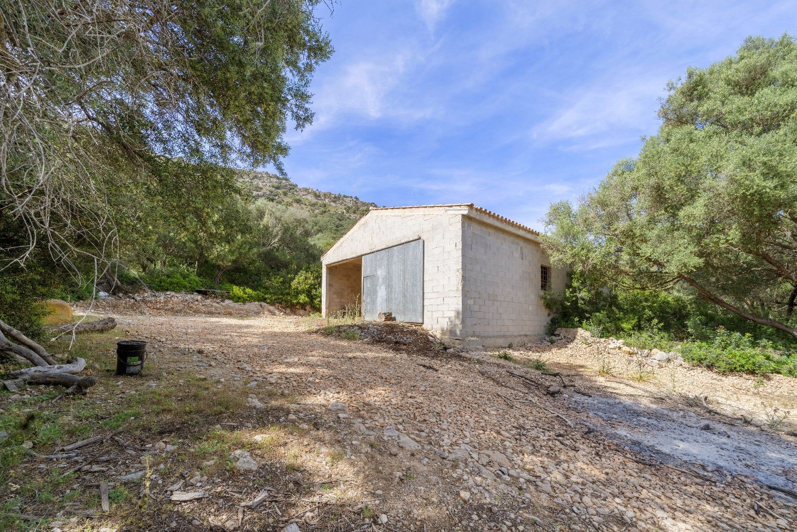 Fincas y solares-Venta-AlcÃºdia-952725-Foto-11