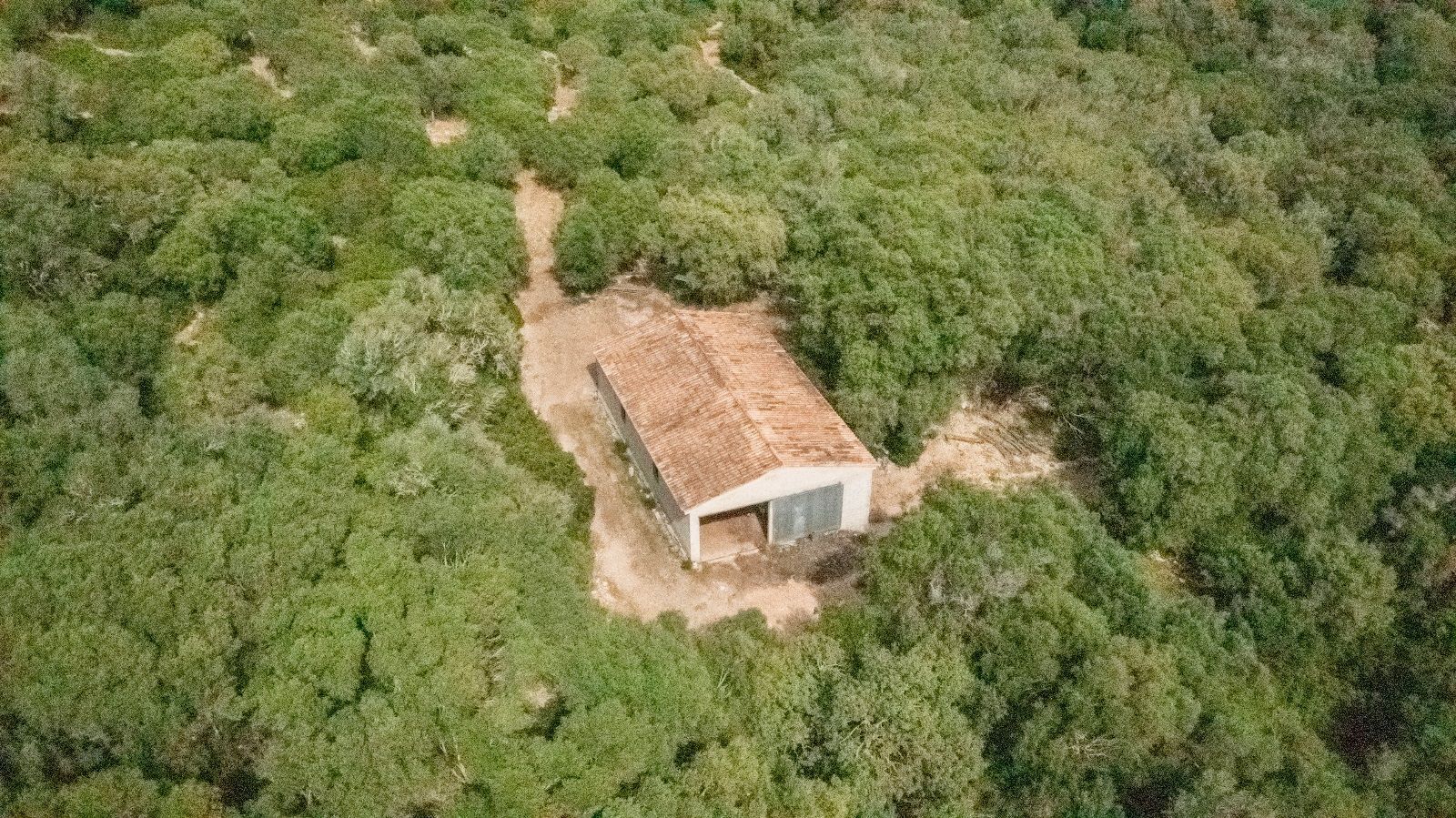 Fincas y solares-Venta-AlcÃºdia-952725-Foto-14