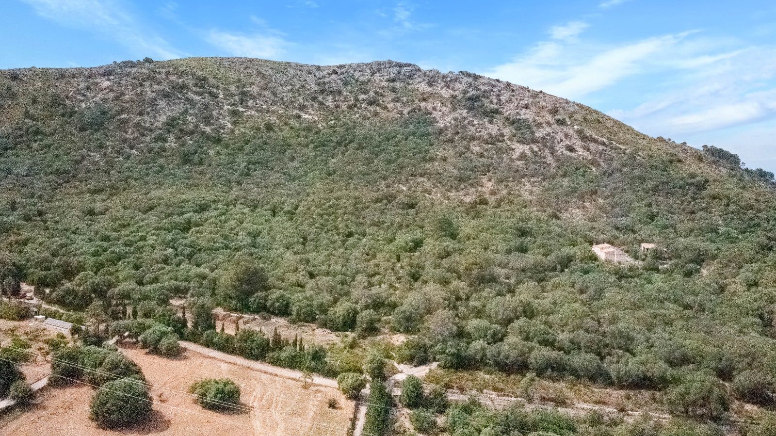 Fincas y solares-Venta-AlcÃºdia-952725-Foto-18
