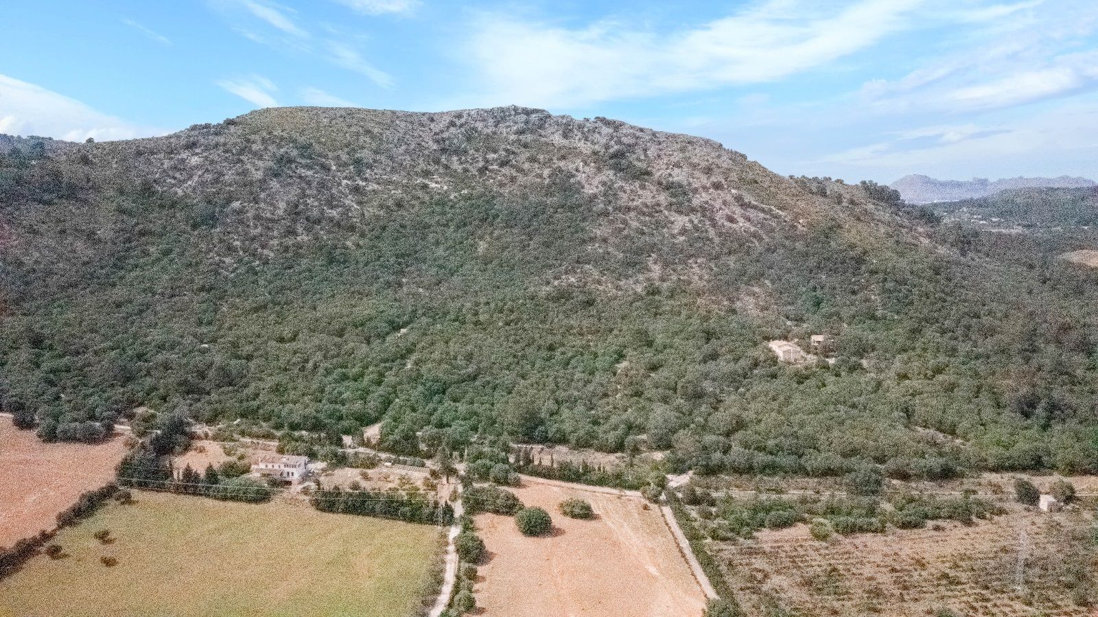 Fincas y solares-Venta-AlcÃºdia-952725-Foto-17