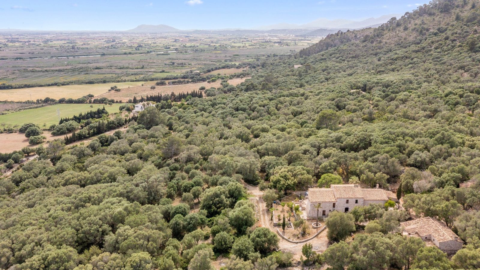 Fincas y solares-Venta-AlcÃºdia-952725-Foto-24