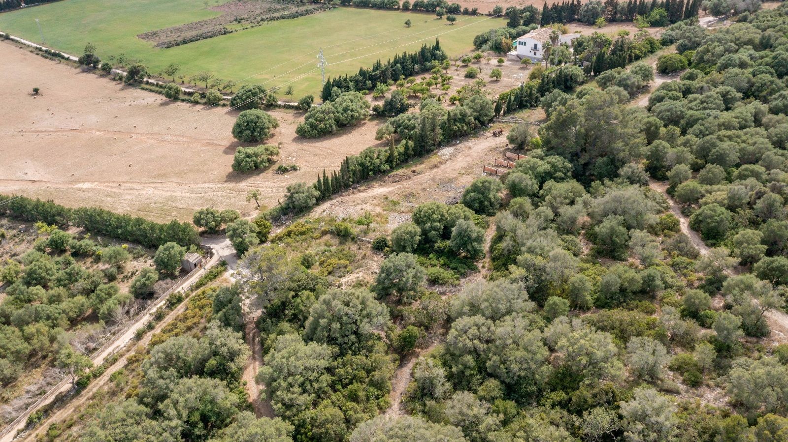 Fincas y solares-Venta-AlcÃºdia-952725-Foto-23