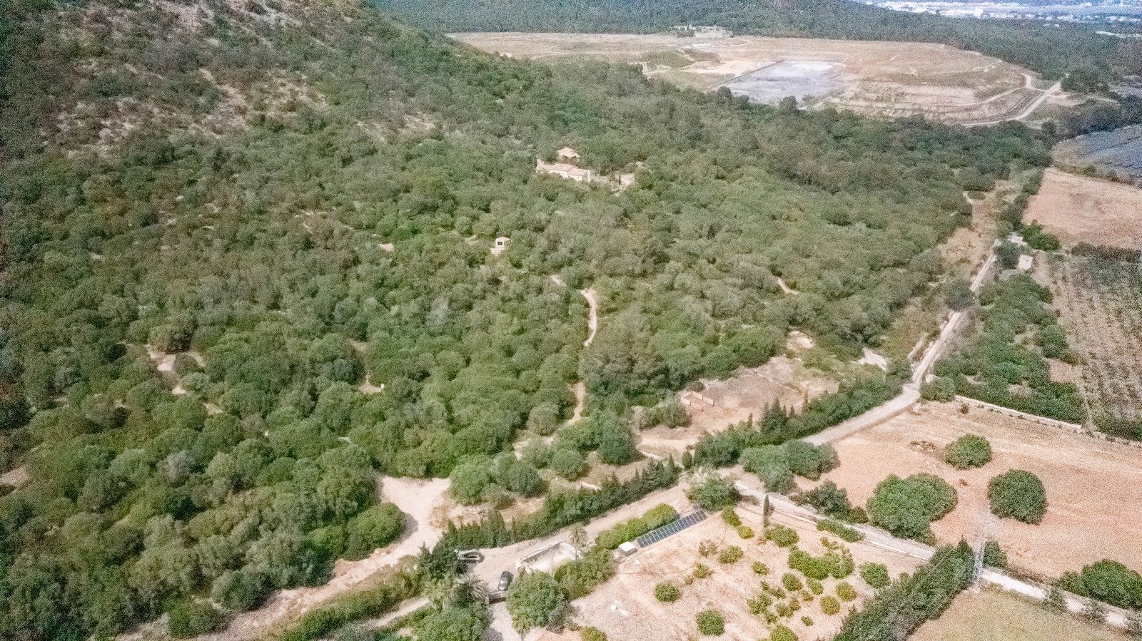 Fincas y solares-Venta-AlcÃºdia-952725-Foto-21