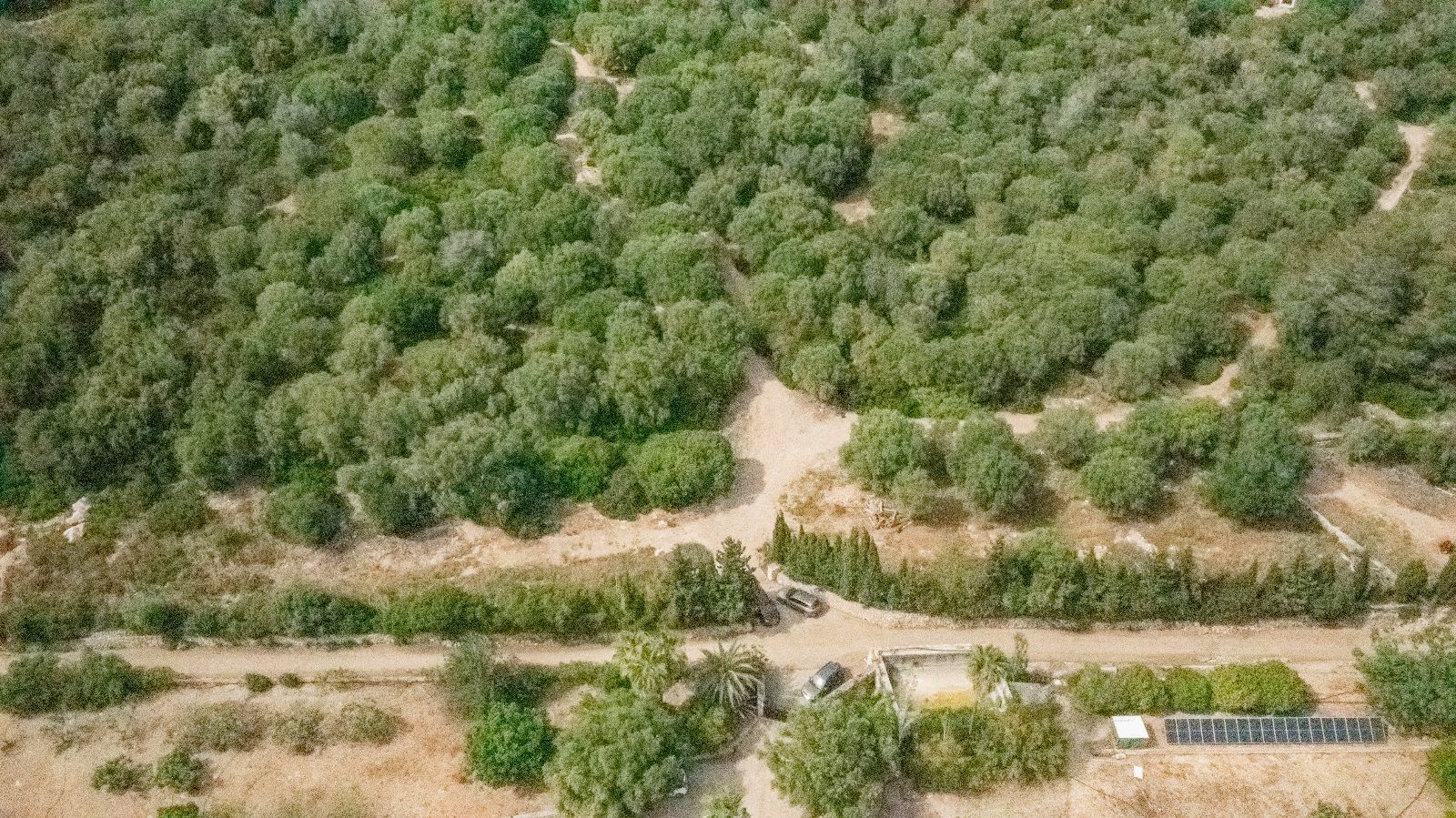 Fincas y solares-Venta-AlcÃºdia-952725-Foto-22