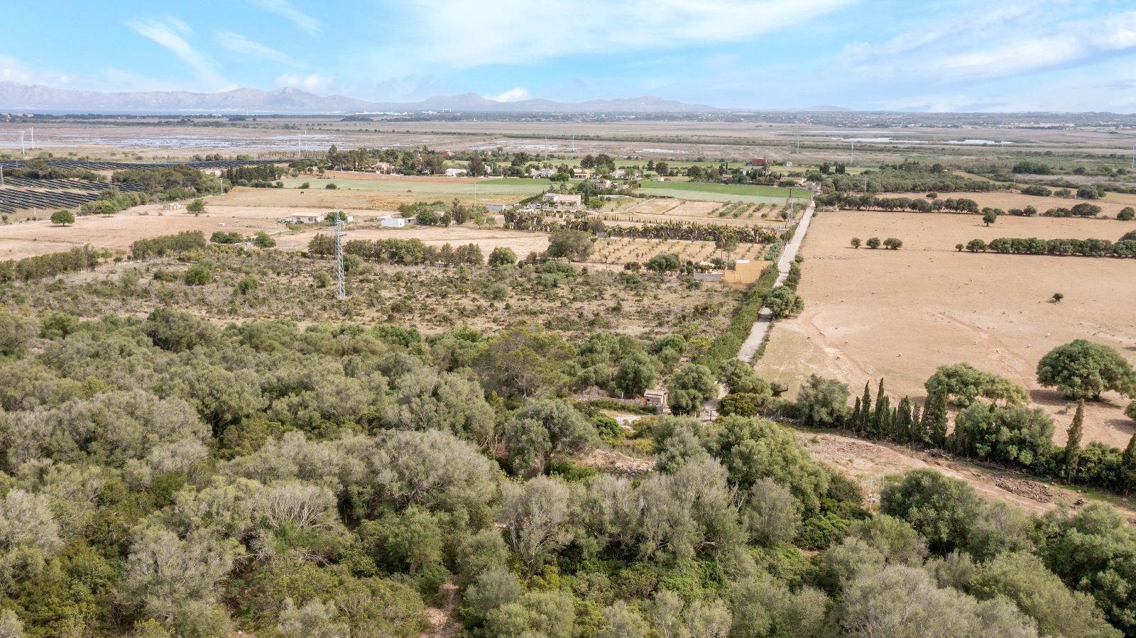 Fincas y solares-Venta-AlcÃºdia-952725-Foto-25