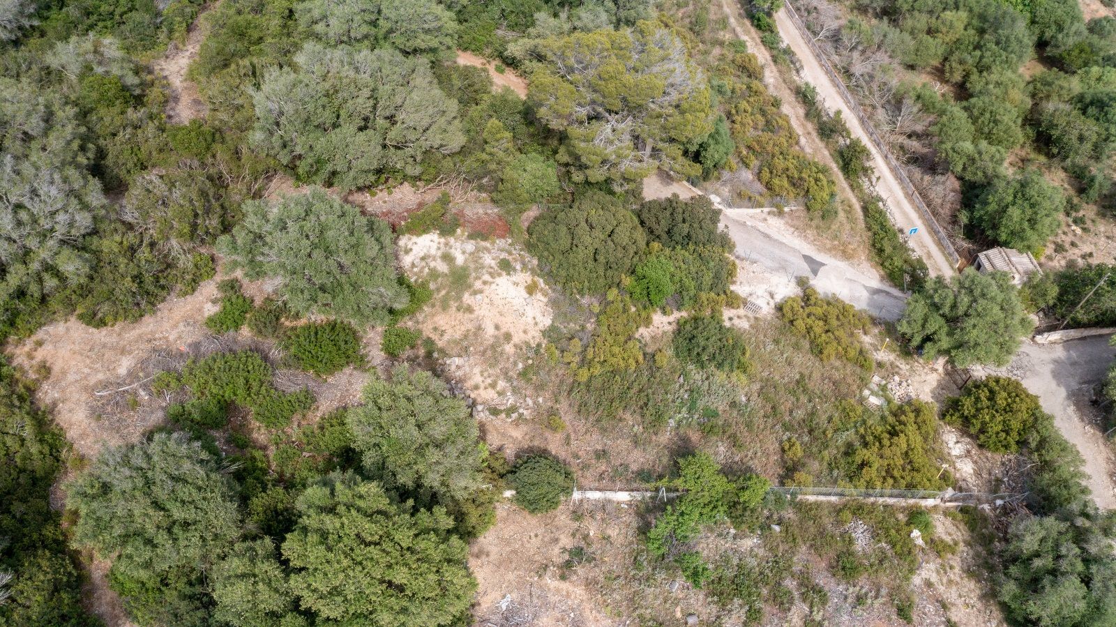 Fincas y solares-Venta-AlcÃºdia-952725-Foto-28
