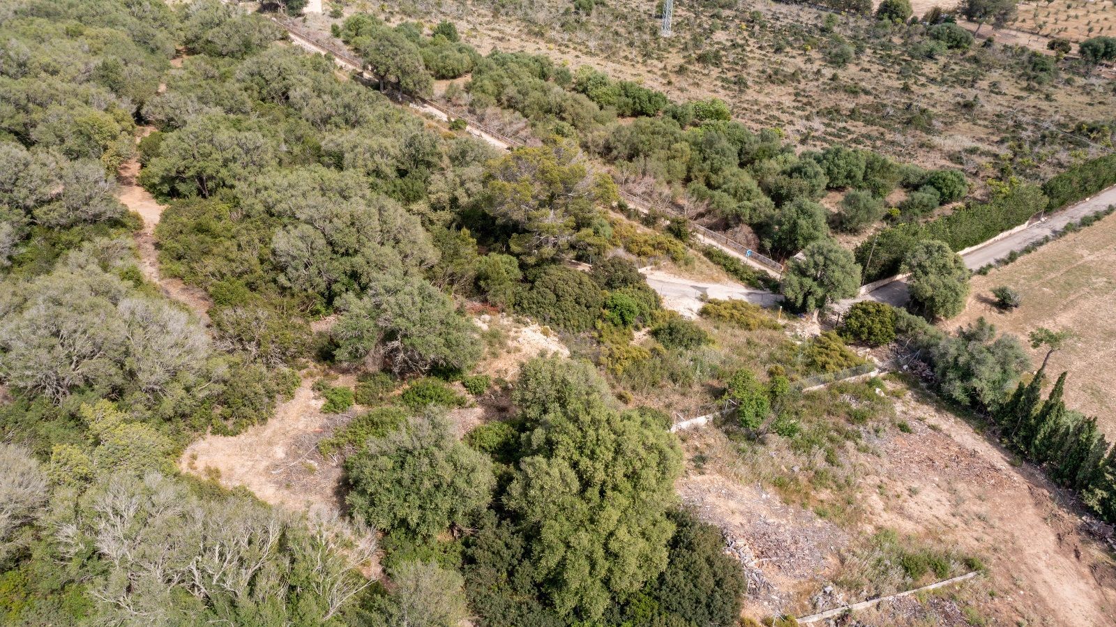 Fincas y solares-Venta-AlcÃºdia-952725-Foto-26