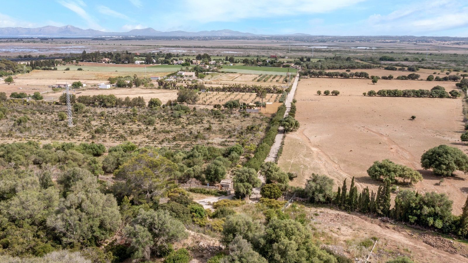 Fincas y solares-Venta-AlcÃºdia-952725-Foto-27