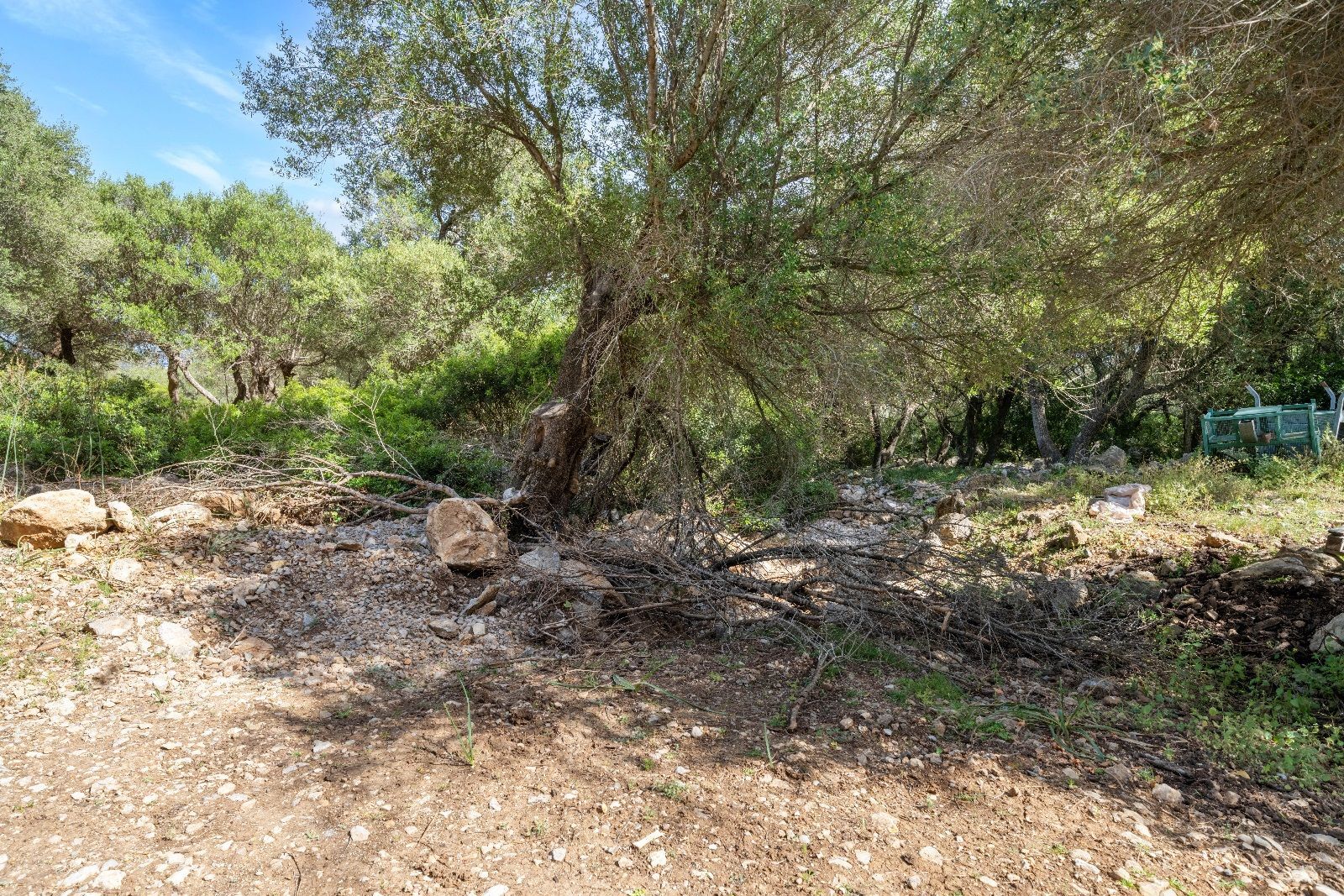 Fincas y solares-Venta-AlcÃºdia-952725-Foto-31
