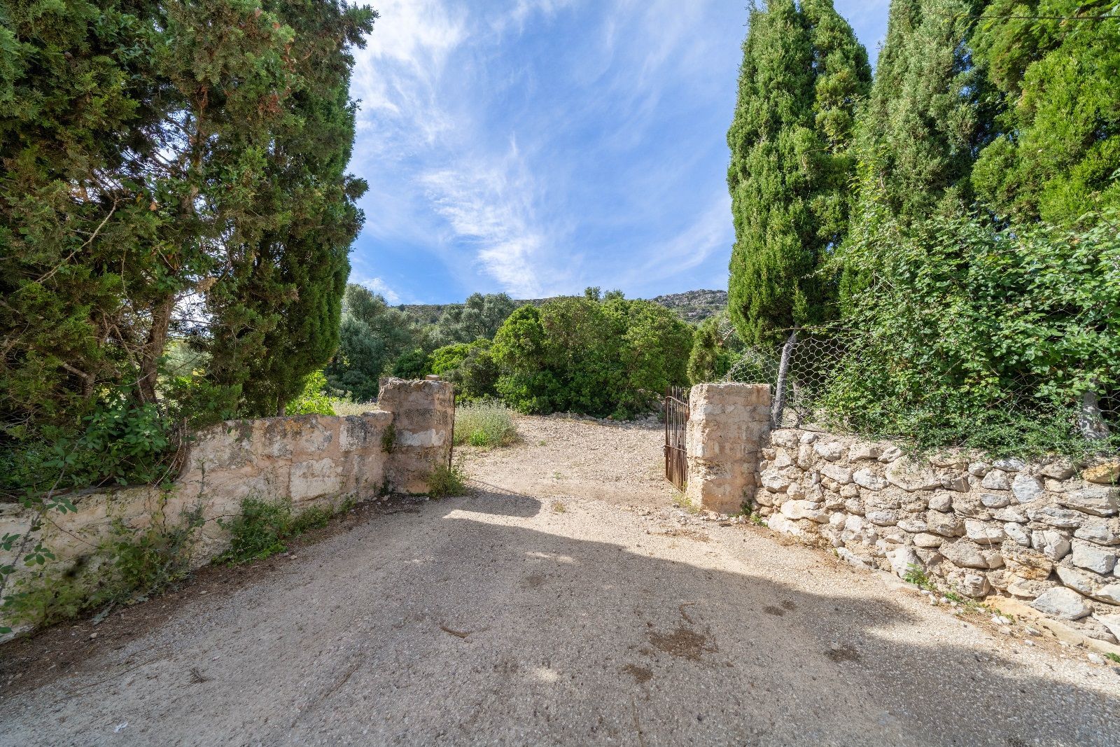 Fincas y solares-Venta-AlcÃºdia-952725-Foto-33