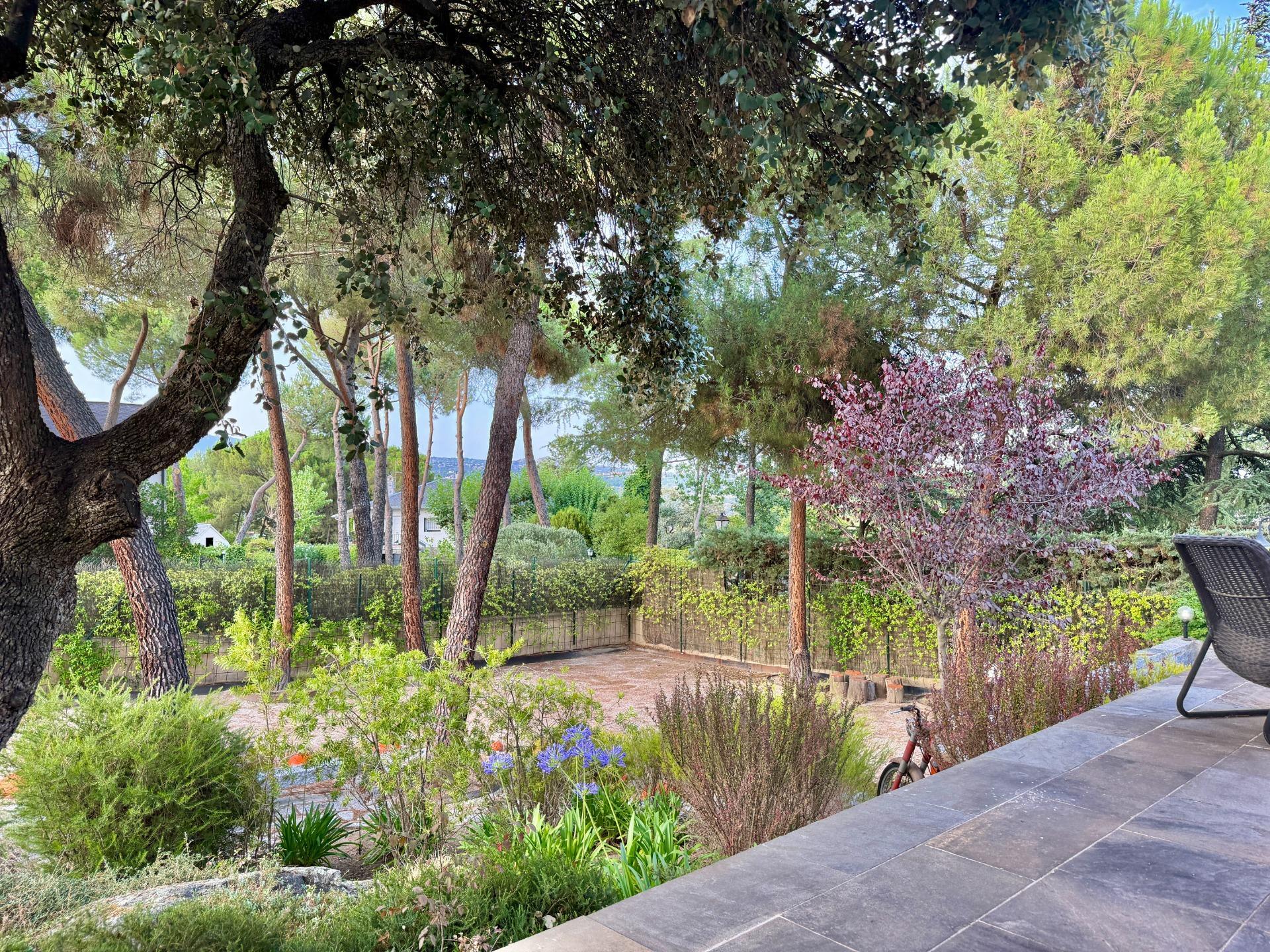 Casas o chalets-Venta-Galapagar-2410890-Foto-3
