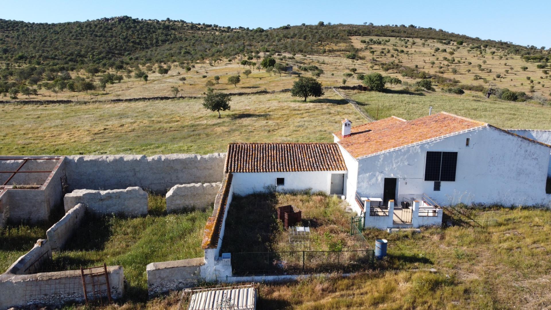 Pisos-Venta-Puebla de GuzmÃ¡n-2240144-Foto-4