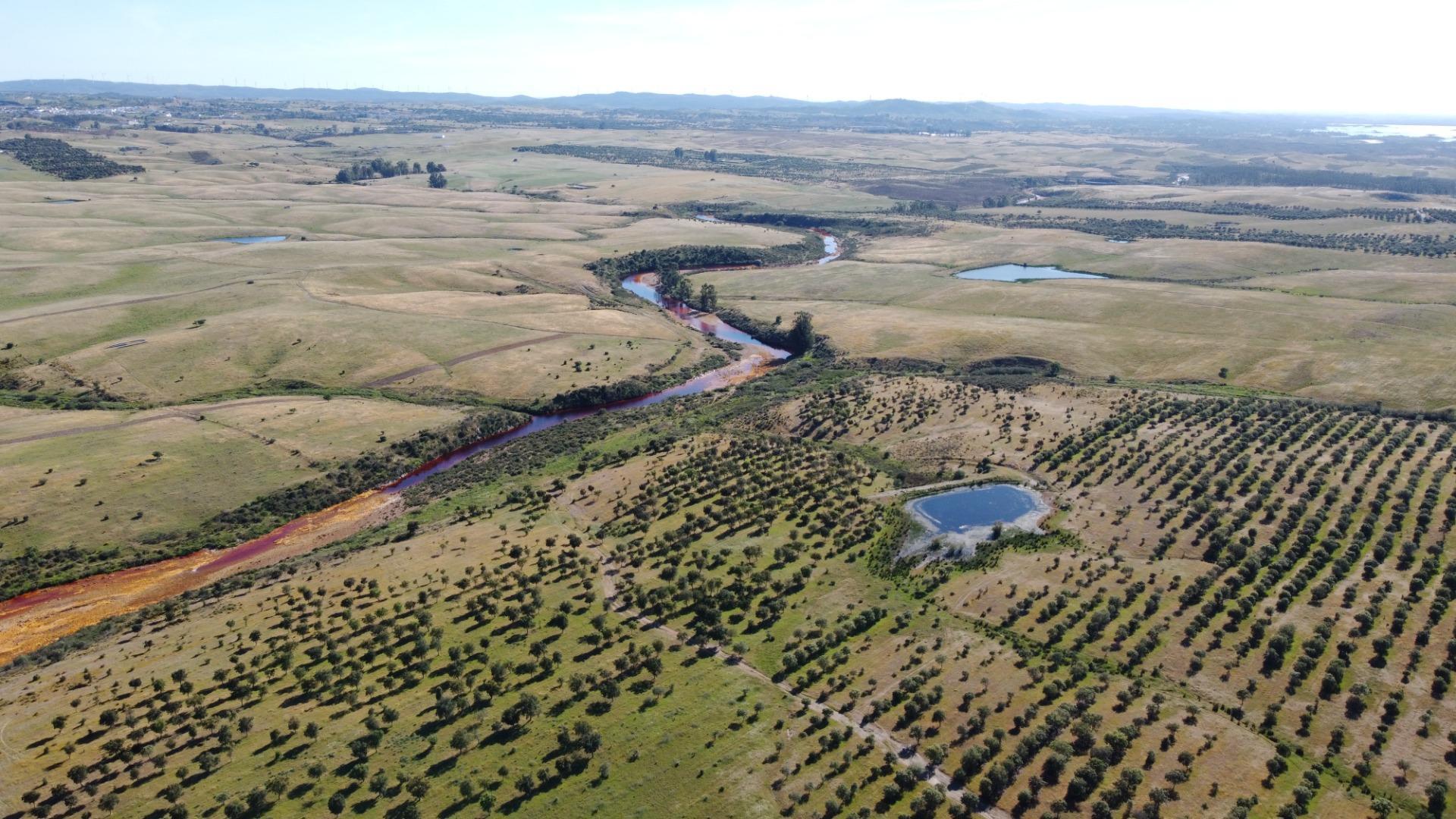 Pisos-Venta-Puebla de GuzmÃ¡n-2240144-Foto-28