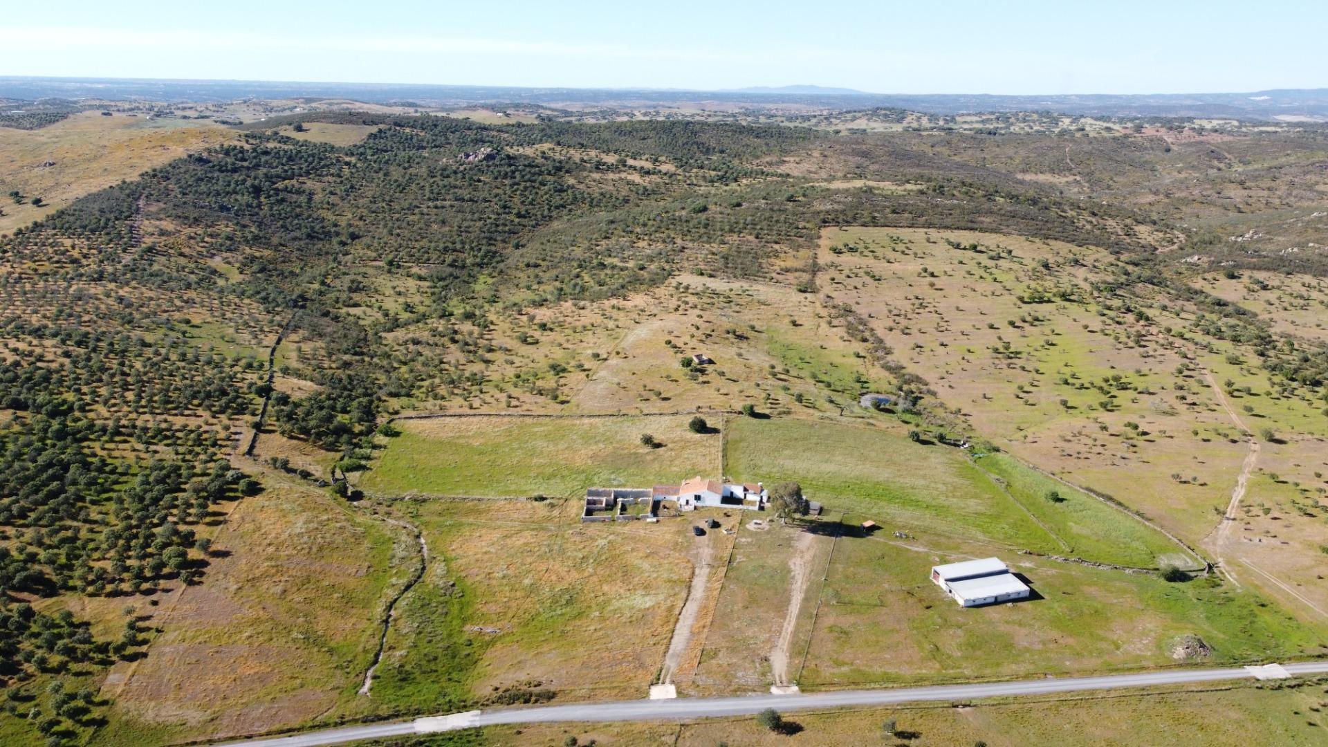 Pisos-Venta-Puebla de GuzmÃ¡n-2240144-Foto-31