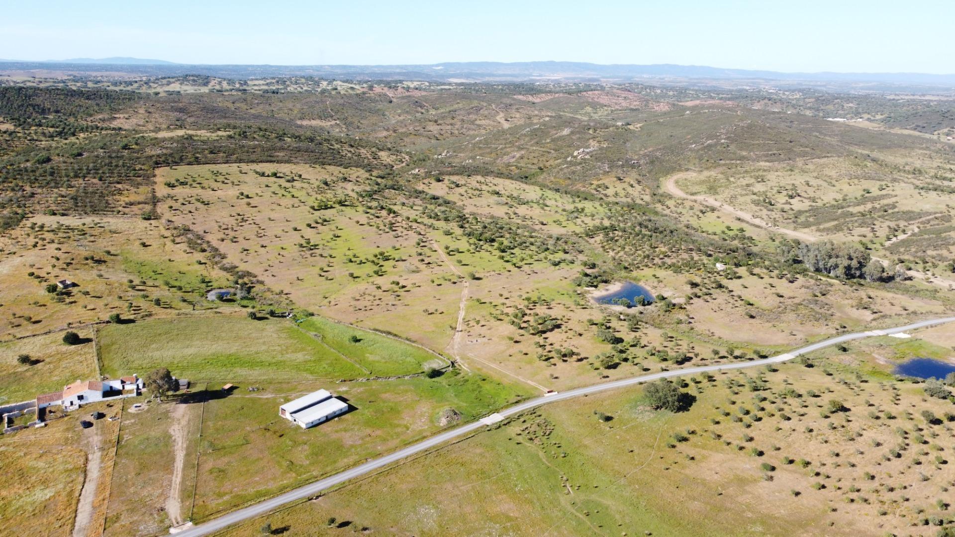 Pisos-Venta-Puebla de GuzmÃ¡n-2240144-Foto-33