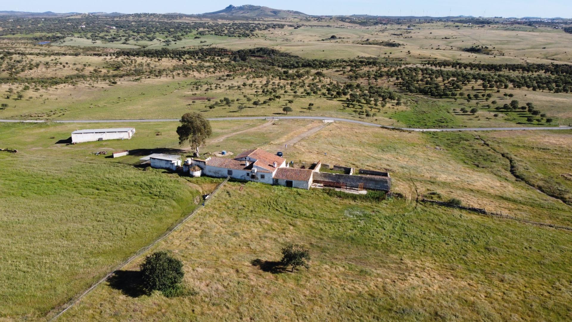 Pisos-Venta-Puebla de GuzmÃ¡n-2240144-Foto-38
