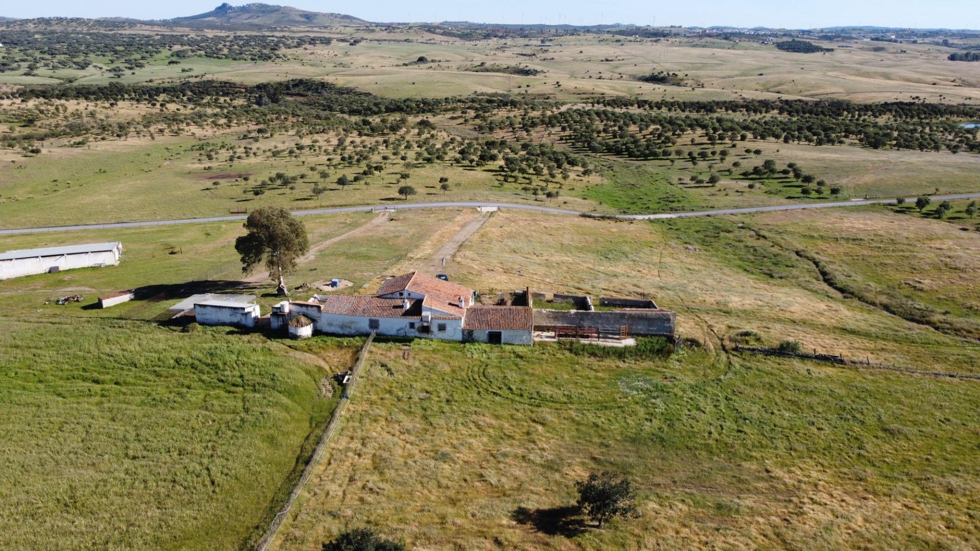 Pisos-Venta-Puebla de GuzmÃ¡n-2240144-Foto-39