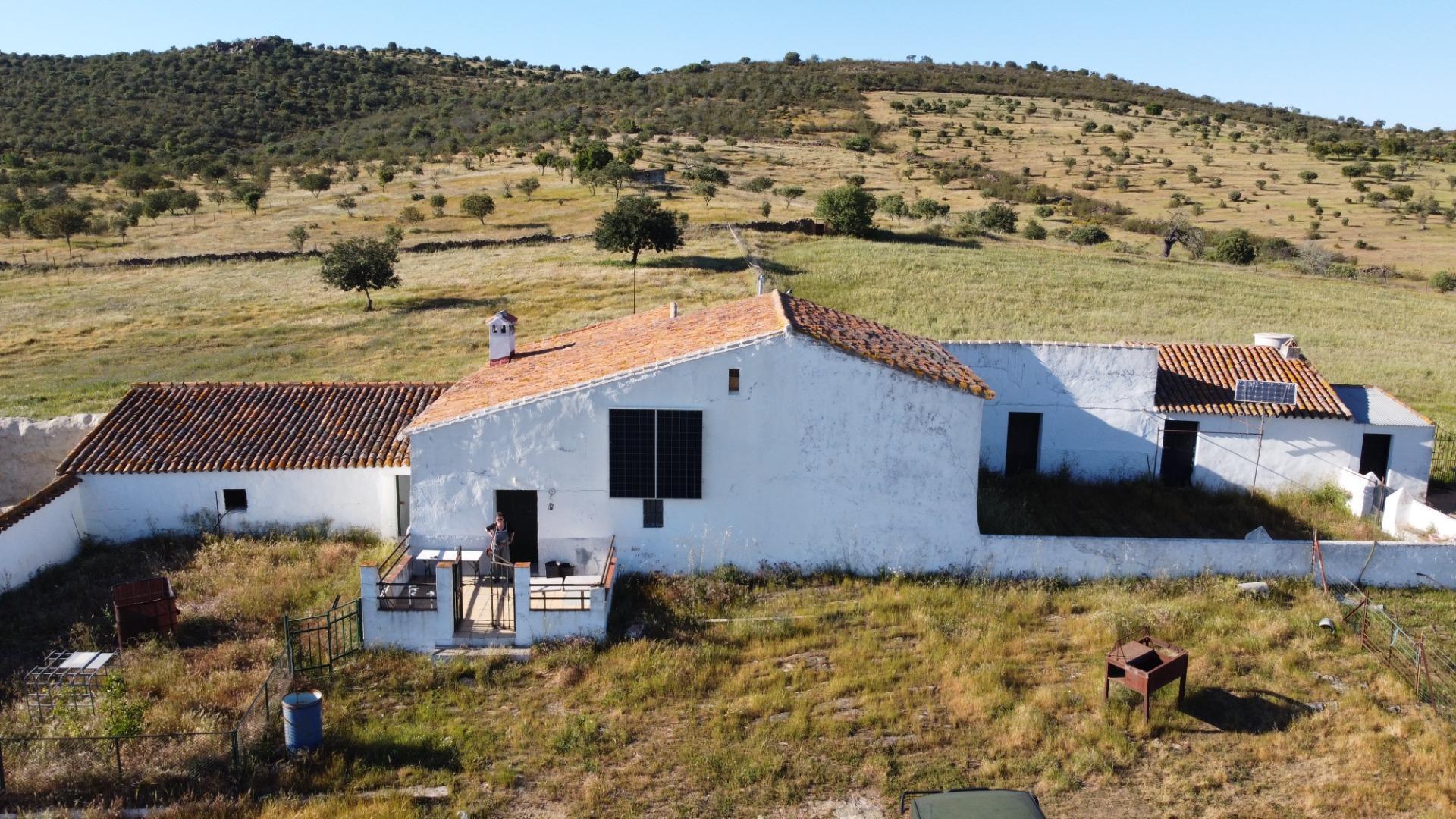 Pisos-Venta-Puebla de GuzmÃ¡n-2240144-Foto-42