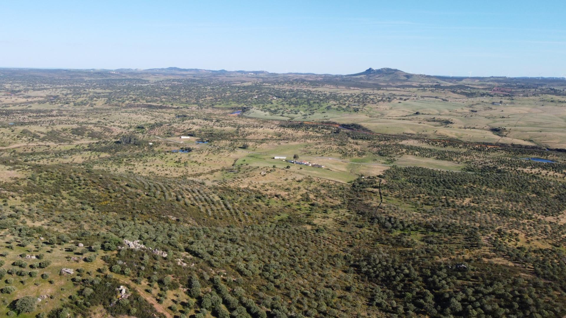 Pisos-Venta-Puebla de GuzmÃ¡n-2240144-Foto-50